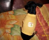 Camiseta de Malha - MD