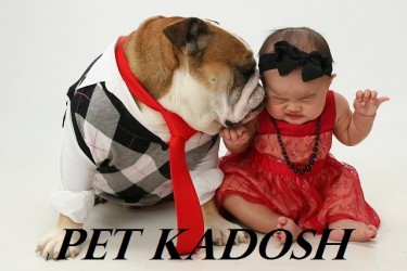 PET KADOSH